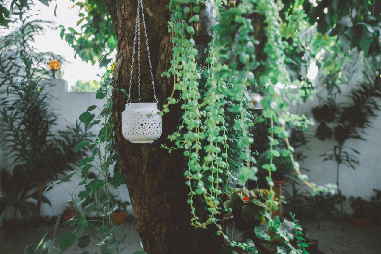 Midsummer Thulusdhoo ภายนอก รูปภาพ